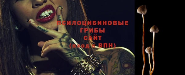 стафф Михайловка