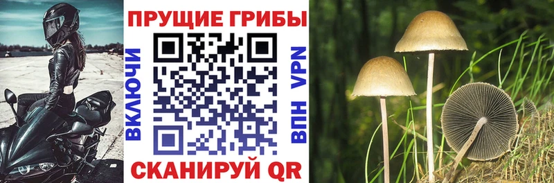 Галлюциногенные грибы Magic Shrooms Пойковский